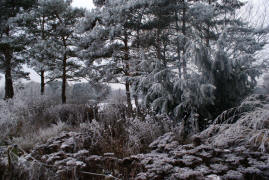 Heimatverein Warendorf: Wintervergnügen auf dem Eis des Emssees