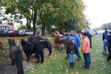 Heimatverein Warendorf: Fettmarkt 08