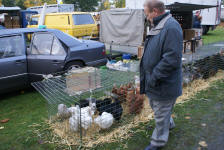 Heimatverein Warendorf: Fettmarkt 08