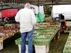 Heimatverein Warendorf: Fettmarkt 2005