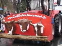 Heimatverein Warendorf: Rosenmontag 2008