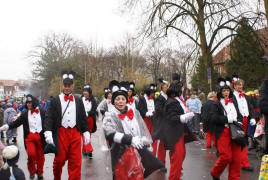 Heimatverein Warendorf: Rosenmontagszug 09