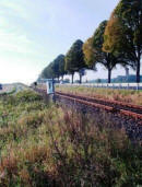 tiefer Einschnitt für die Bahntrasse durch den Klauenberg