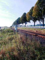 Heimatverein Warendorf: Blick von Osten auf den Klauenberg